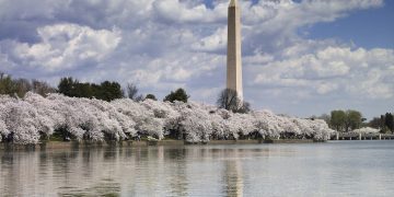Washington Monument Height
